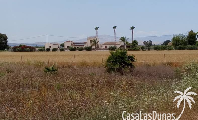 Parcela - Revente - San Fulgencio - San Fulgencio