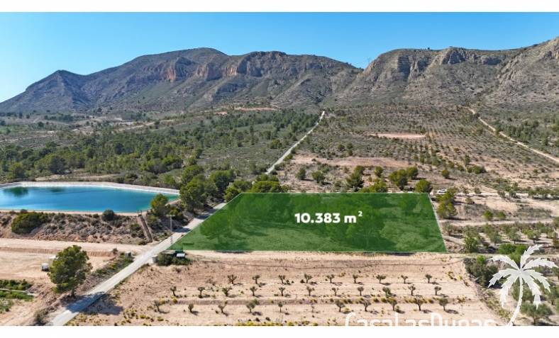 Terrain - Revente - Hondón de las Nieves - Hondón de las Nieves / el Fondó de les Neus