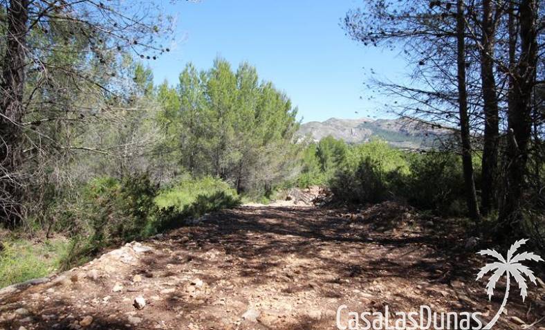 Terrain - Revente - Jalón Vallée - xj1415