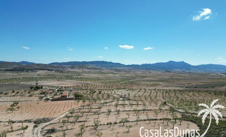Terrain - Revente - Pinoso - Pinoso