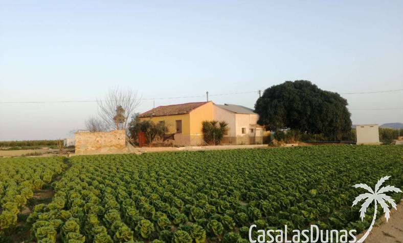 Villa - Bestaand - Orihuela Costa - Orihuela