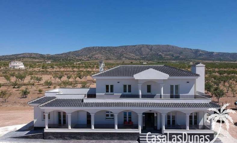 Villa - Obra nueva - Pinoso - CLDZ-58629