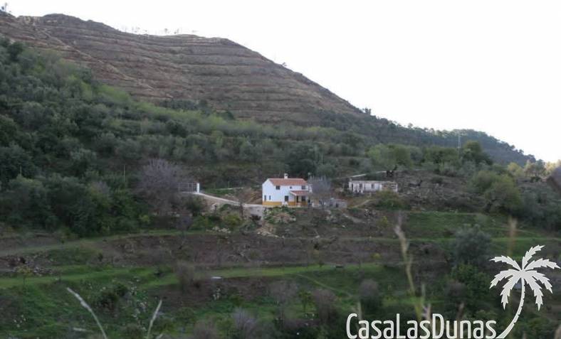 Villa - Resale - Ojen - CLDA-32814