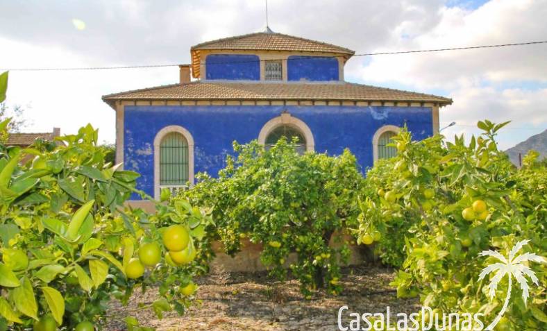 Villa - Reventa - Aspe - CLDJ-40617