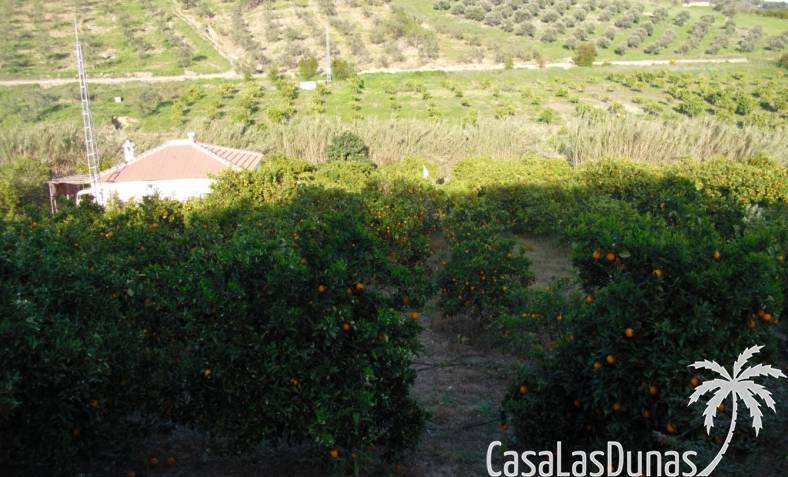 Villa - Revente - Tolox - CLDA-98805NEW