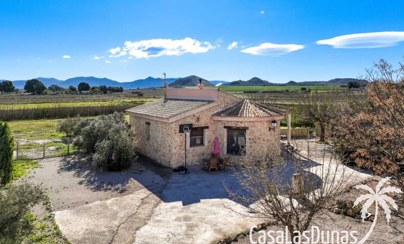 Villa - Revente - Villena - Villena