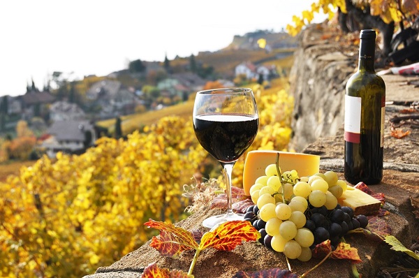 Twee Spaanse wijngebieden bij beste 10 in Europa