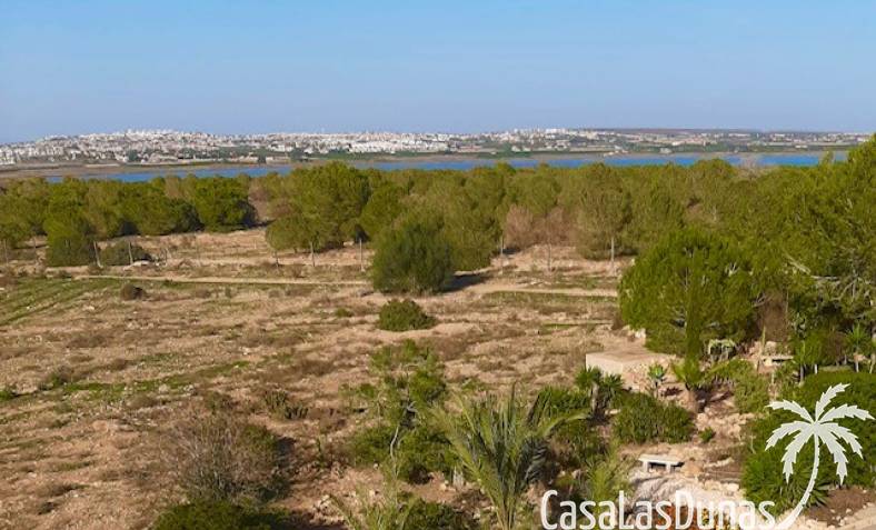 casasalinas-casalasdunas-Torrevieja