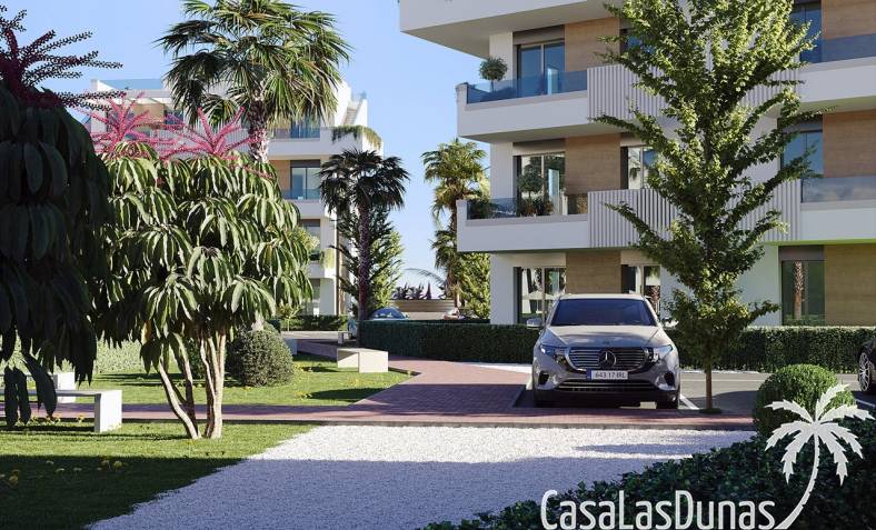 CasaLasDunas- CLDC-5104NB Santa Rosalia