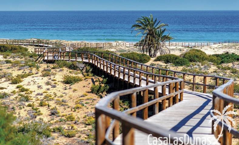 CLDN-91199 Alenda Golf CasaLasDunas