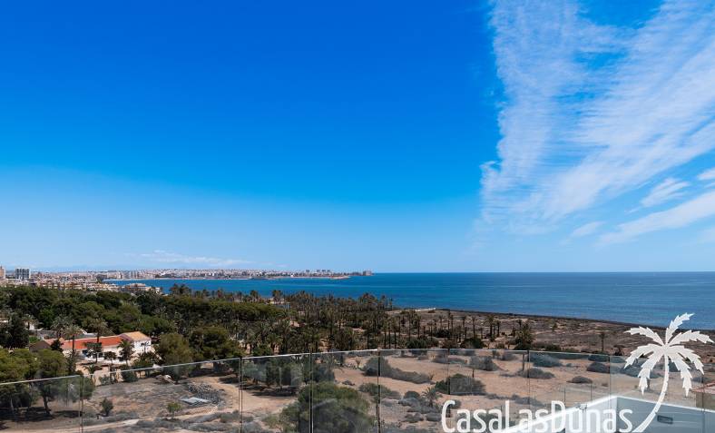 CLD-2969NEW Torrevieja